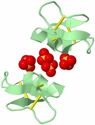 Image Biological Unit 7