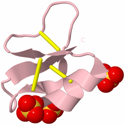 Image Biological Unit 3