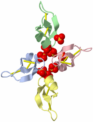 Image Biological Unit 5