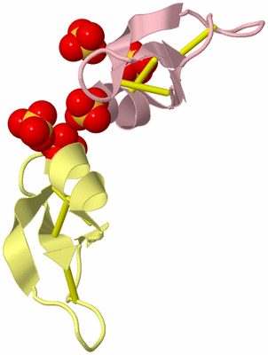 Image Biological Unit 6