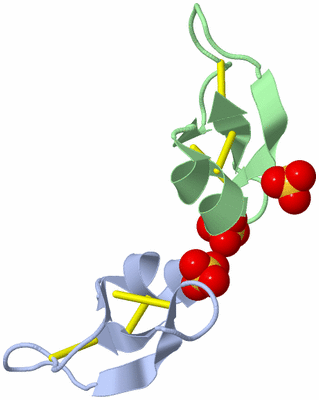 Image Biological Unit 7