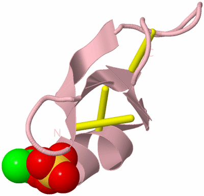 Image Biological Unit 3