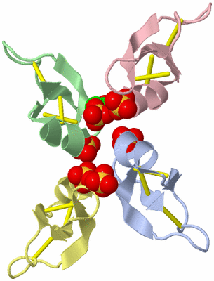 Image Biological Unit 5