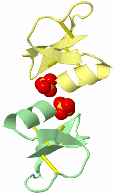 Image Biological Unit 6