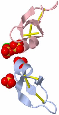 Image Biological Unit 7