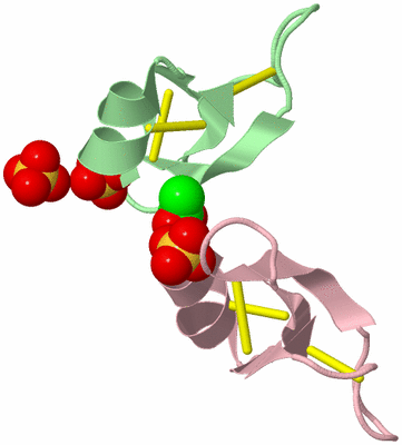 Image Biological Unit 8