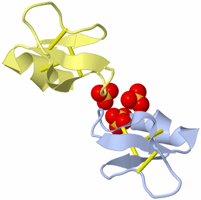 Image Biological Unit 9