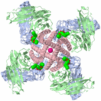 Image Biological Unit 1