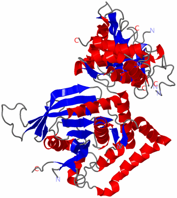 Image Asym./Biol. Unit