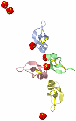 Image Biological Unit 5