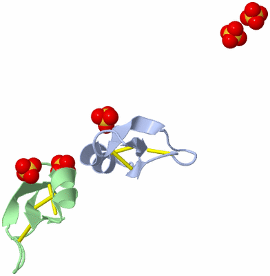 Image Biological Unit 6