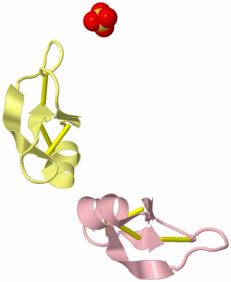 Image Biological Unit 7