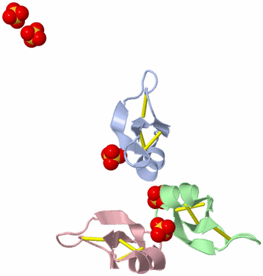 Image Biological Unit 9