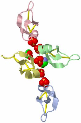 Image Biological Unit 11