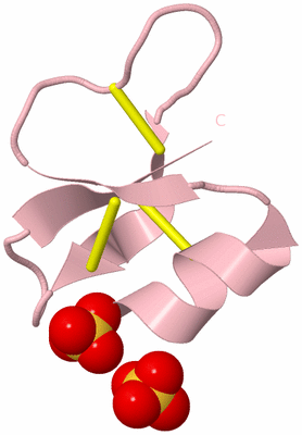 Image Biological Unit 3