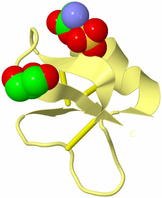 Image Biological Unit 4