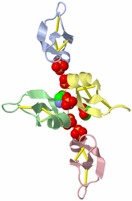 Image Biological Unit 5