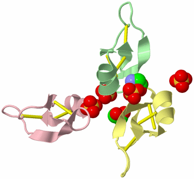 Image Biological Unit 8