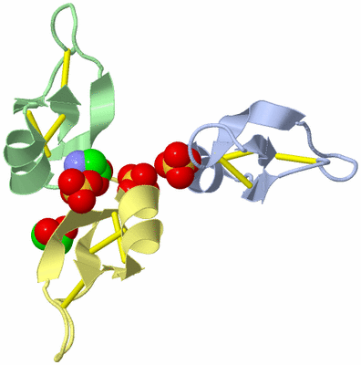 Image Biological Unit 9