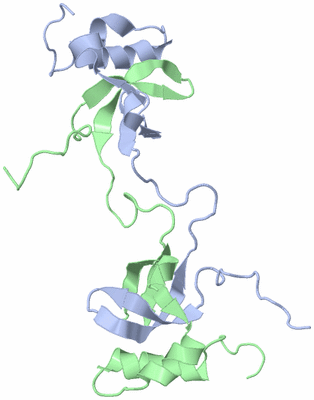 Image NMR Structure - model 1