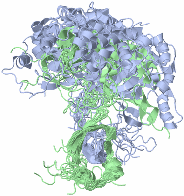 Image NMR Structure - all models