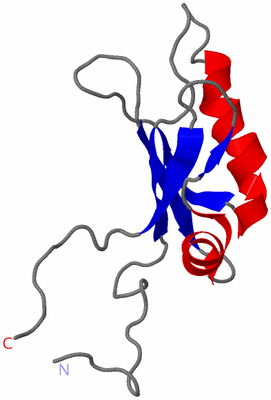 Image NMR Structure - model 1