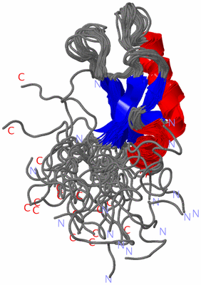 Image NMR Structure - all models