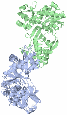 Image Asym./Biol. Unit