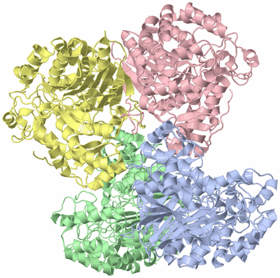 Image Asym./Biol. Unit