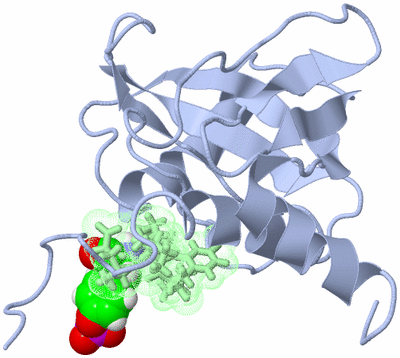 Image NMR Structure - model 1
