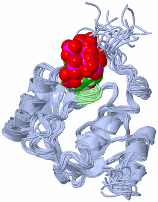 Image NMR Structure - all models