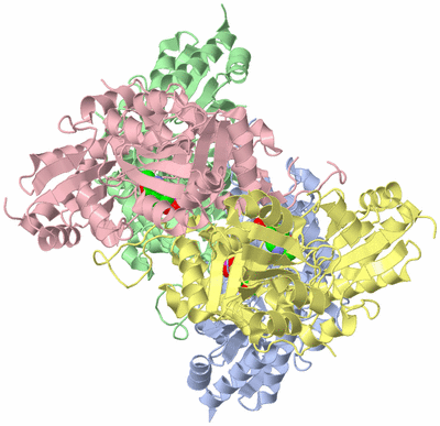 Image Asym./Biol. Unit