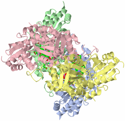 Image Asym./Biol. Unit - sites