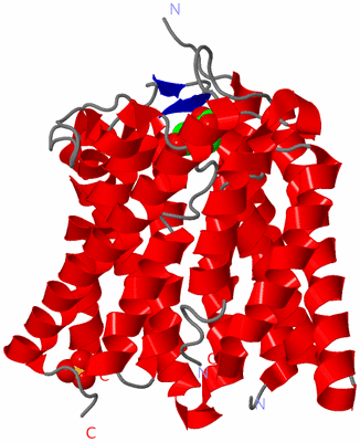 Image Asymmetric Unit