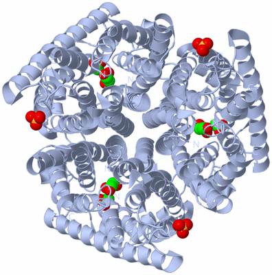 Image Biological Unit 1