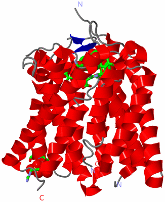 Image Asym. Unit - sites