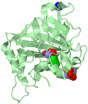 Image Biological Unit 2