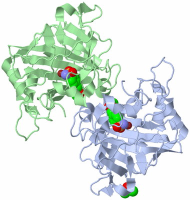 Image Asymmetric Unit