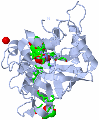 Image Biol. Unit 1 - sites