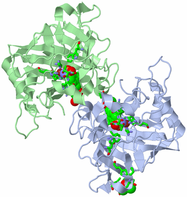 Image Asym. Unit - sites