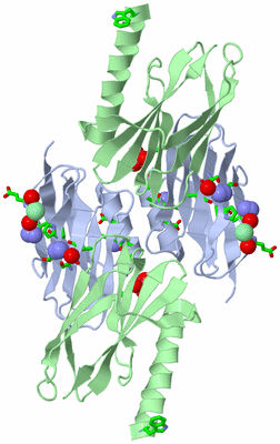 Image Biol. Unit 1 - sites