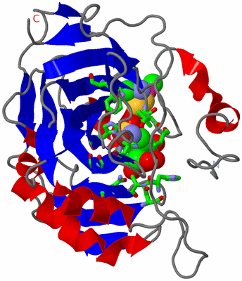 Image Asym./Biol. Unit - sites