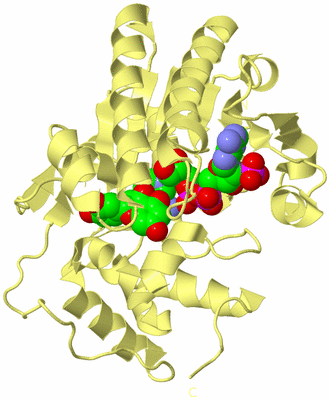 Image Biological Unit 1