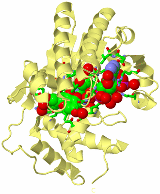 Image Biol. Unit 1 - sites