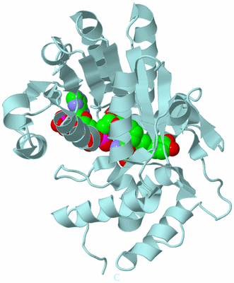 Image Biological Unit 2