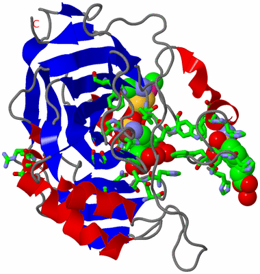 Image Asym./Biol. Unit - sites