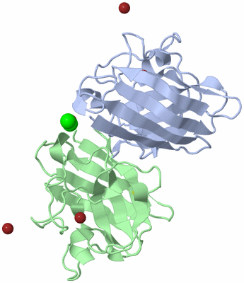 Image Biological Unit 1