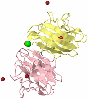 Image Biological Unit 2