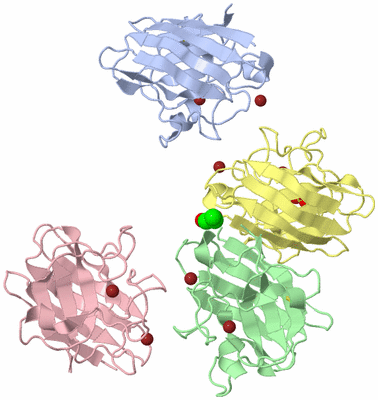 Image Biological Unit 3