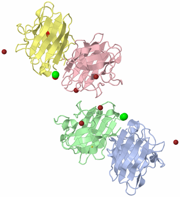 Image Biological Unit 4